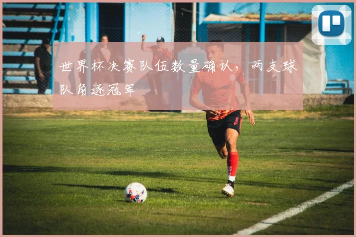 世界杯决赛队伍数量确认,两支球队角逐冠军