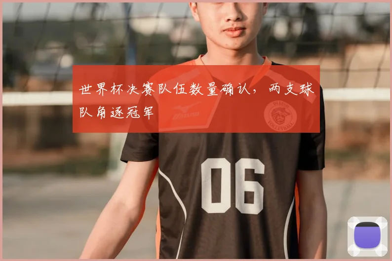 世界杯决赛队伍数量确认,两支球队角逐冠军