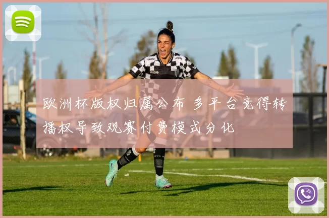 欧洲杯版权归属公布 多平台竞得转播权导致观赛付费模式分化