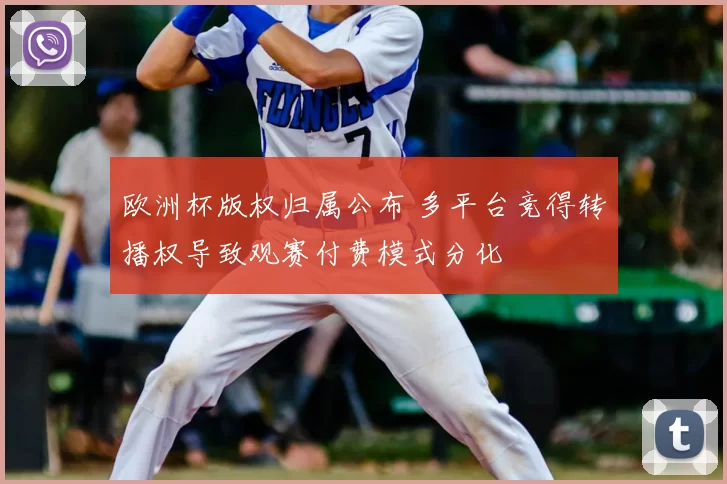 欧洲杯版权归属公布 多平台竞得转播权导致观赛付费模式分化