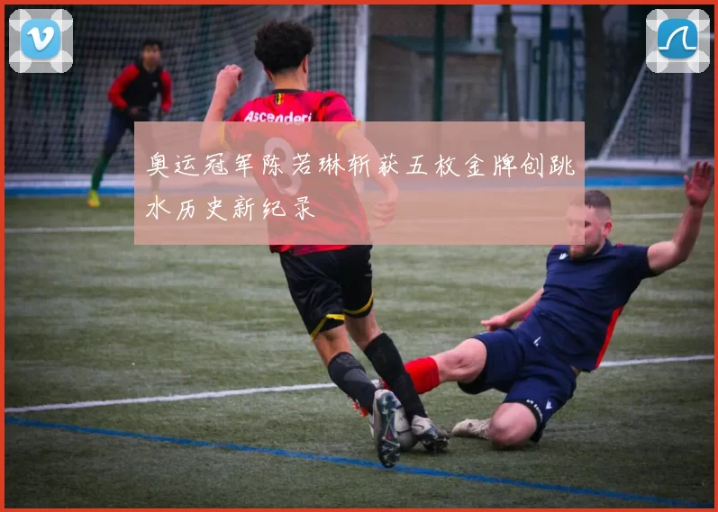 奥运冠军陈若琳斩获五枚金牌创跳水历史新纪录